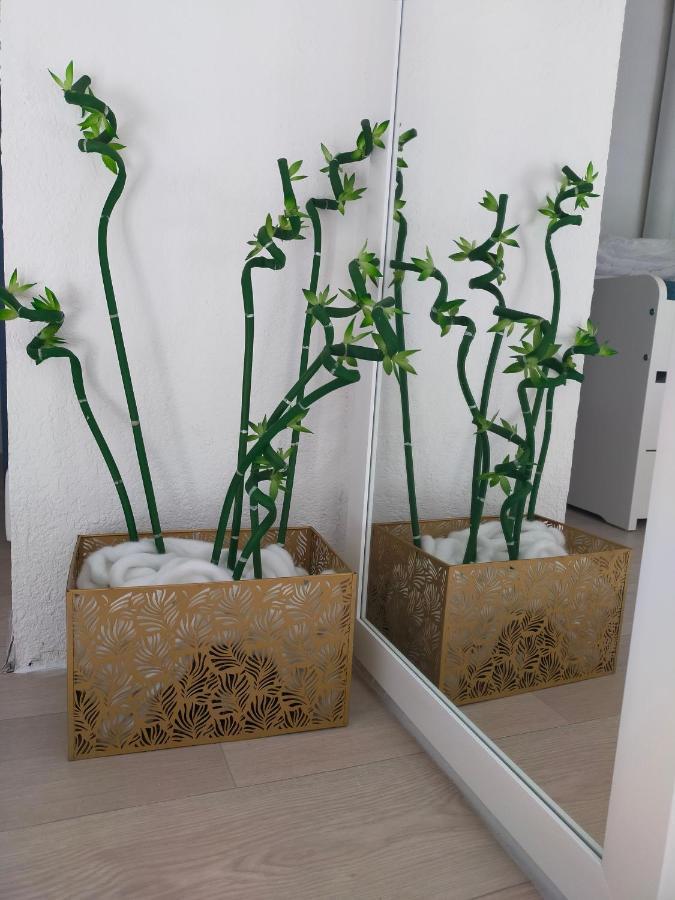 Residence Les Estivales 阿格德 外观 照片